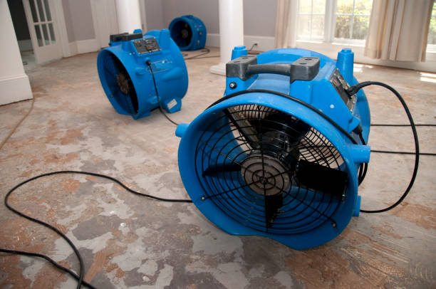 Best Emergency water extraction  in Mitchell, IL